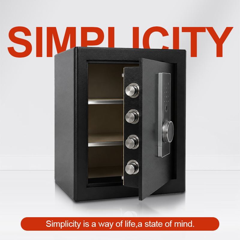 Biometric Fingerprint Safe Box - Home Security Box review and price