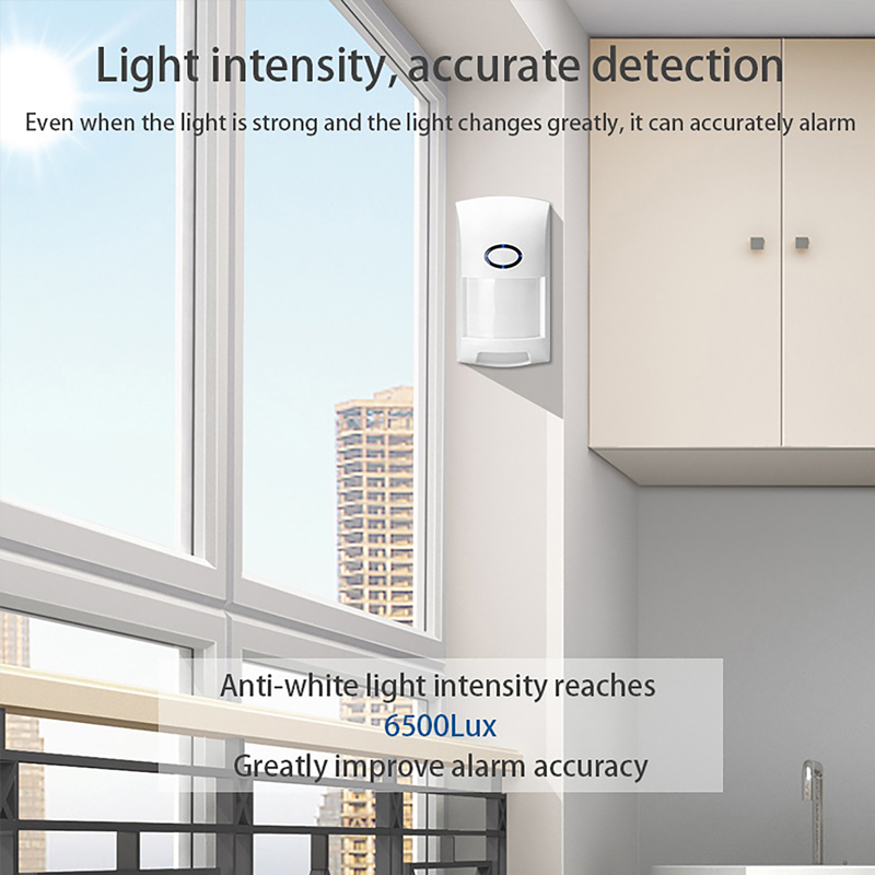 Smart Tuya PIR Motion Sensor W - Sim Gsm Alarm review and price